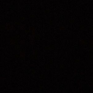 Meet your Posher, Mia